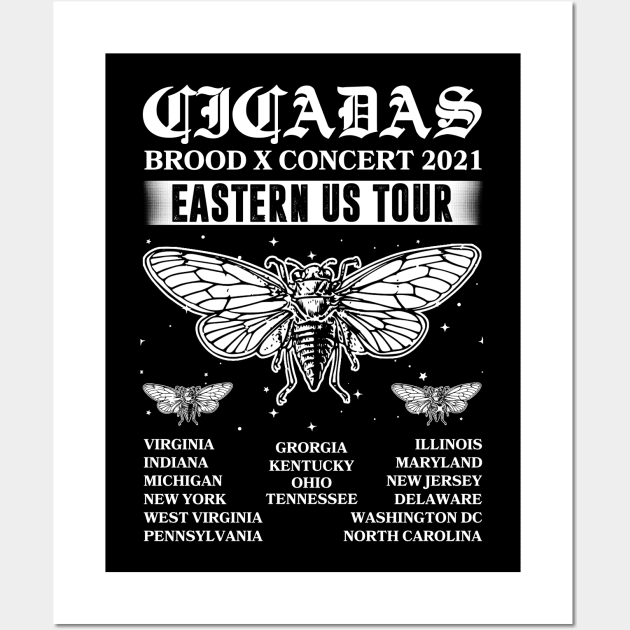 Cicada Mandala Brood X 2021 Eastern Usa Bug Wall Art by American Woman